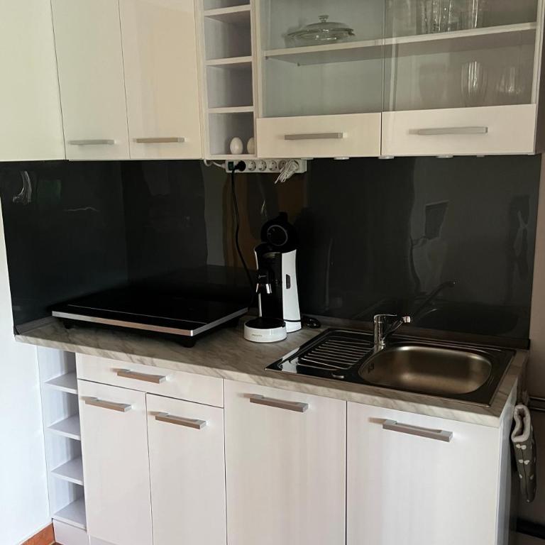 Allgäu Pension "Ab in den Süden" - Studio mit Bergblick - 3