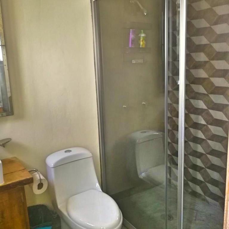 Casa Eugenia, tu hogar en San Miguel de Allende - Three-Bedroom House - 13