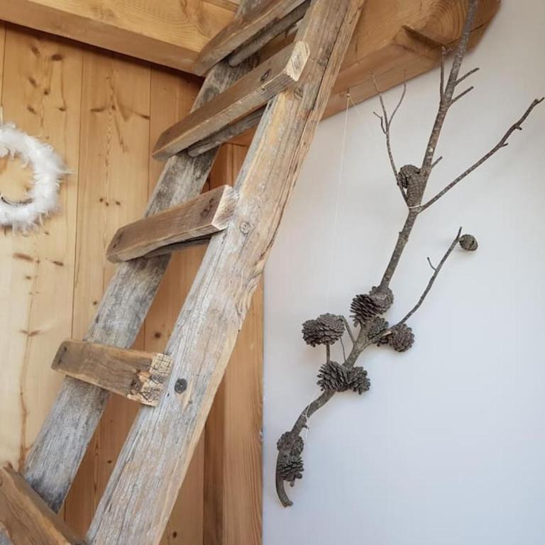 Le Croeju - Ferme d'alpage à La Féclaz - Haus mit 3 Schlafzimmern - 9