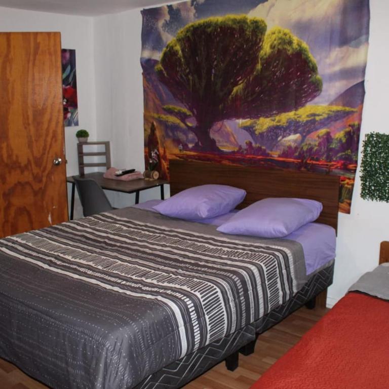 El valle - Deluxe Single Room - 3