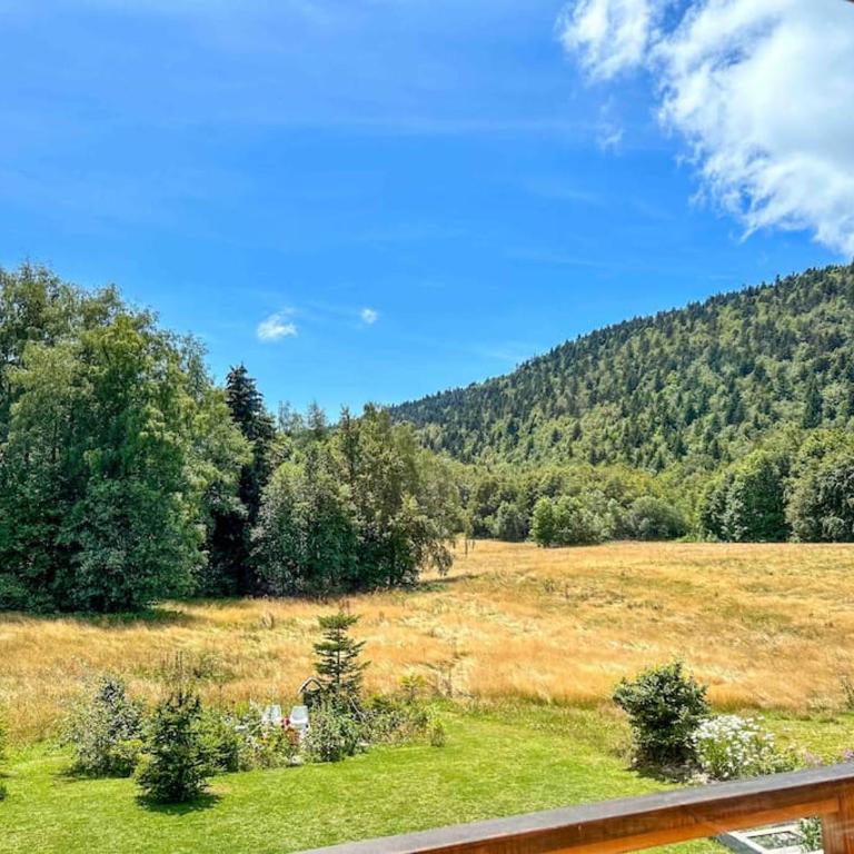 Le Chalet du Lys avec jacuzzi - Villa Supérieure - 60