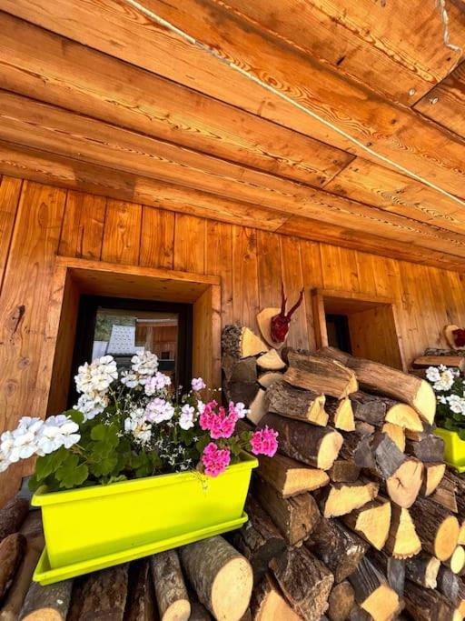 Le Chalet du Lys avec jacuzzi - Villa Supérieure - 66