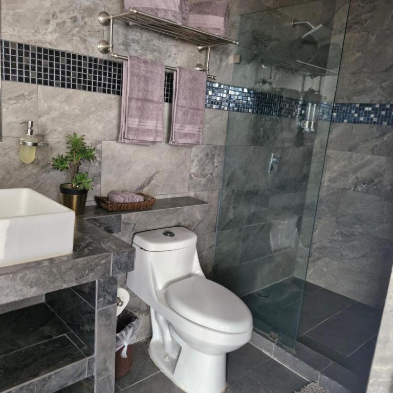 Casa Galeria in PV - Apartamento de 1 dormitorio - 49
