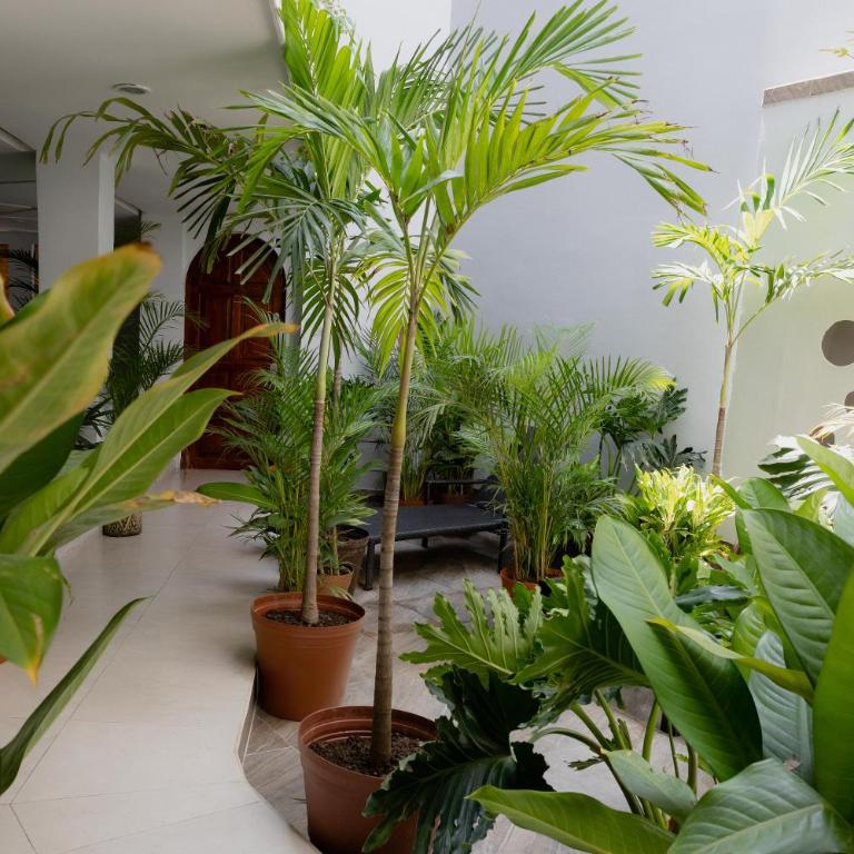 Casa Galeria in PV - Apartamento de 1 dormitorio - 71