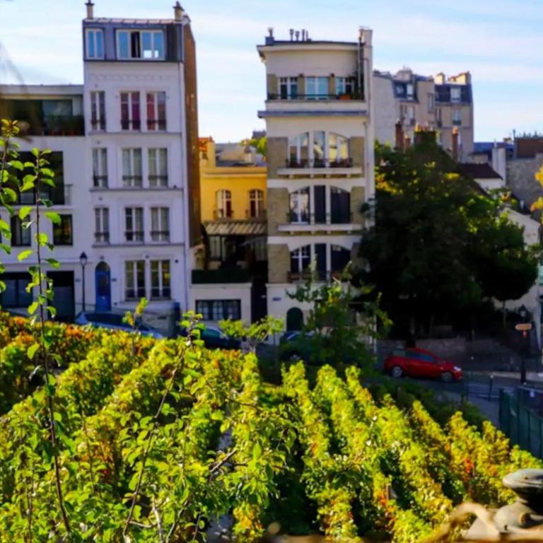 Une vue magnifique sur le Sacré Cœur. - Appartamento - 19