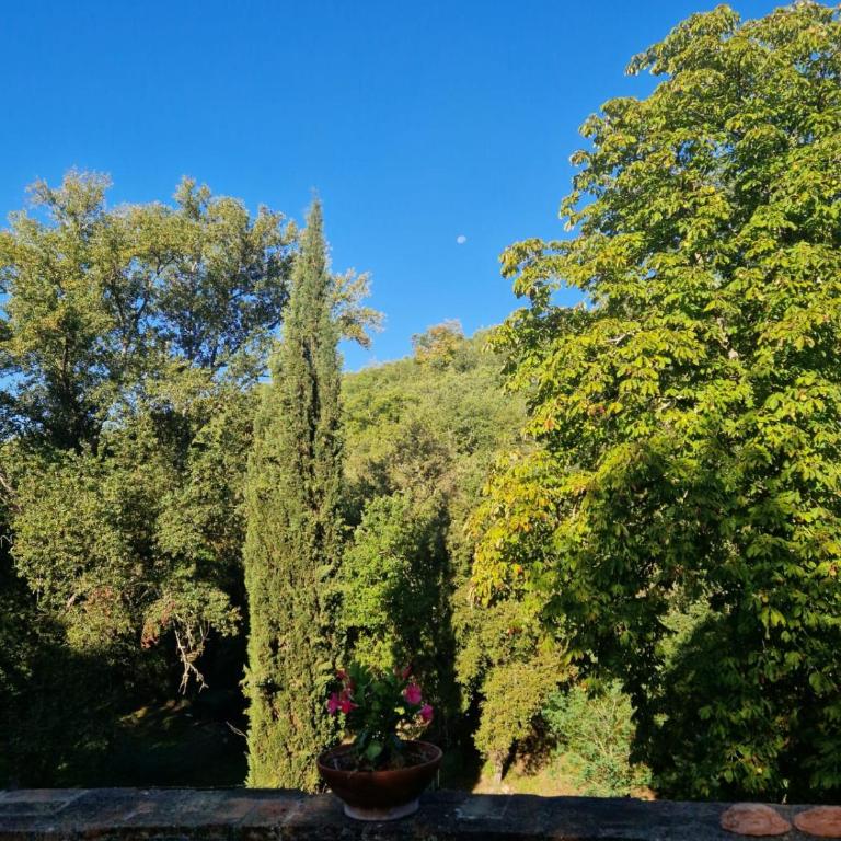 Molino di Cogno - Appartamento Deluxe con 2 Camere da Letto e Vista Giardino - 42
