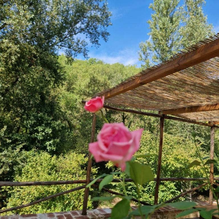 Molino di Cogno - Appartamento Deluxe con 2 Camere da Letto e Vista Giardino - 32
