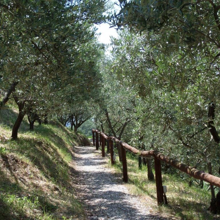 "Ulivi House" inside Le Agavi Private Park, shared Pool, Tennis, 2 AC BDR, 2BTH, parking next home and private garage in Lerici! Cooking Lesson and Wine Tasting - Casa con 2 Camere da Letto - 53