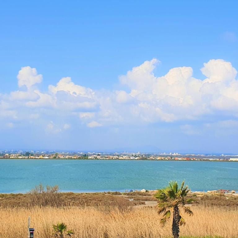 Le Moderna 1 ère ligne Bord de Mer Palavas - Studio - 17