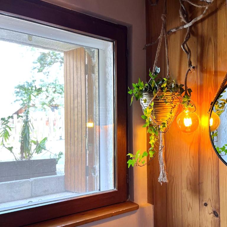 Mini Maison au Calme avec Coin Exterieur - Maison 2 Chambres - 18