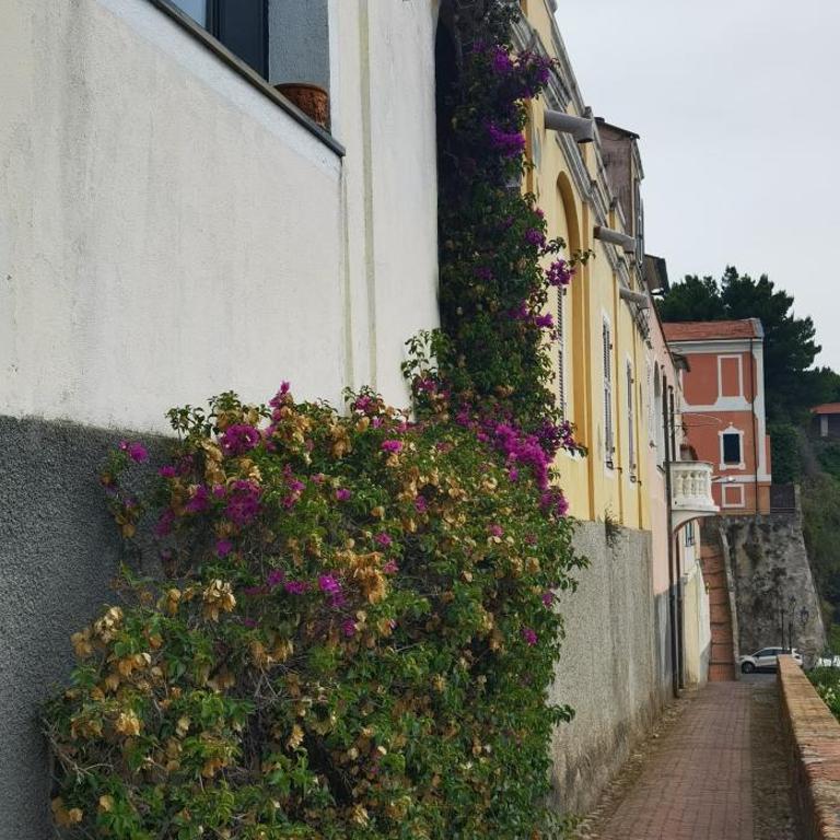 Casa Eden - Apartment mit 1 Schlafzimmer - 53