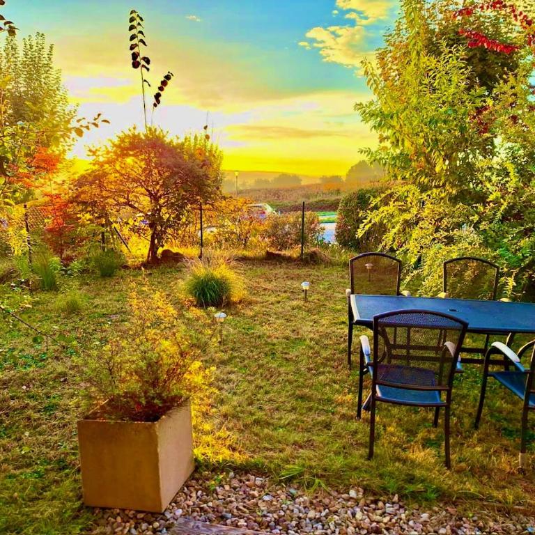WHIRLPOOL-SUITE AMADEUS - Weitblick - Golf & Wellness - direkter Bademantelgang - ADULTS ONLY - Apartamento de 1 dormitorio - 7