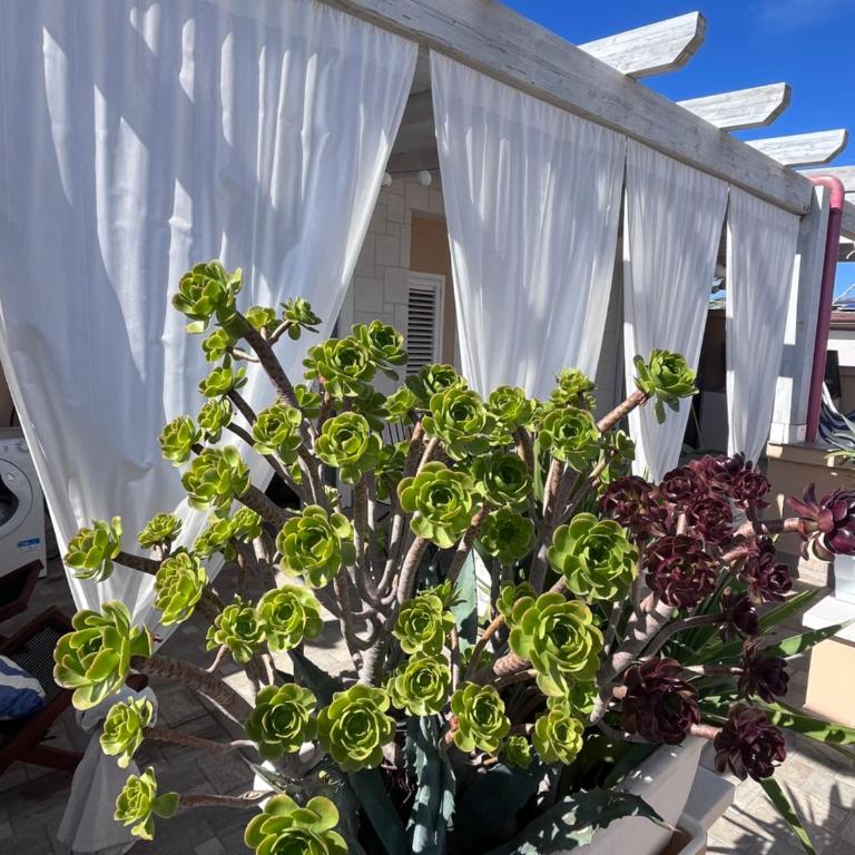 Casa Wind 14 - Taranto Suite & Apartment - One-Bedroom Apartment with Terrace - 17