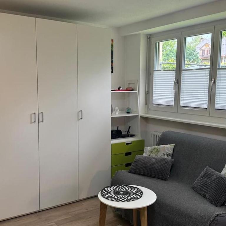 HEART Studio Visp Zentrum I ruhig I Single I Paare I Küche - Apartment mit 1 Schlafzimmer - 4