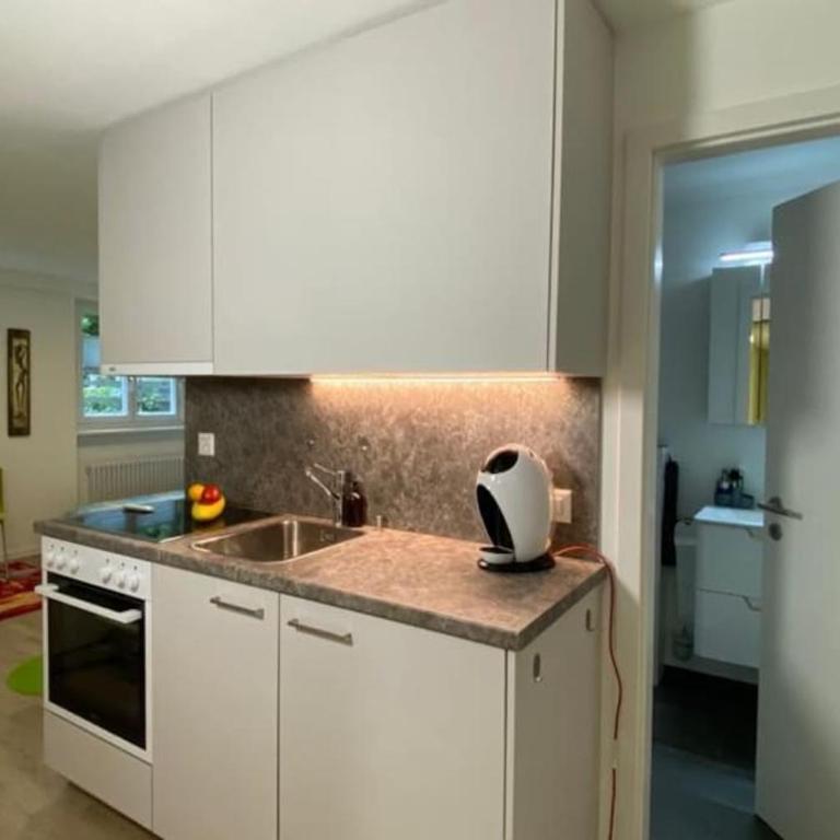 HEART Studio Visp Zentrum I ruhig I Single I Paare I Küche - Apartment mit 1 Schlafzimmer - 7