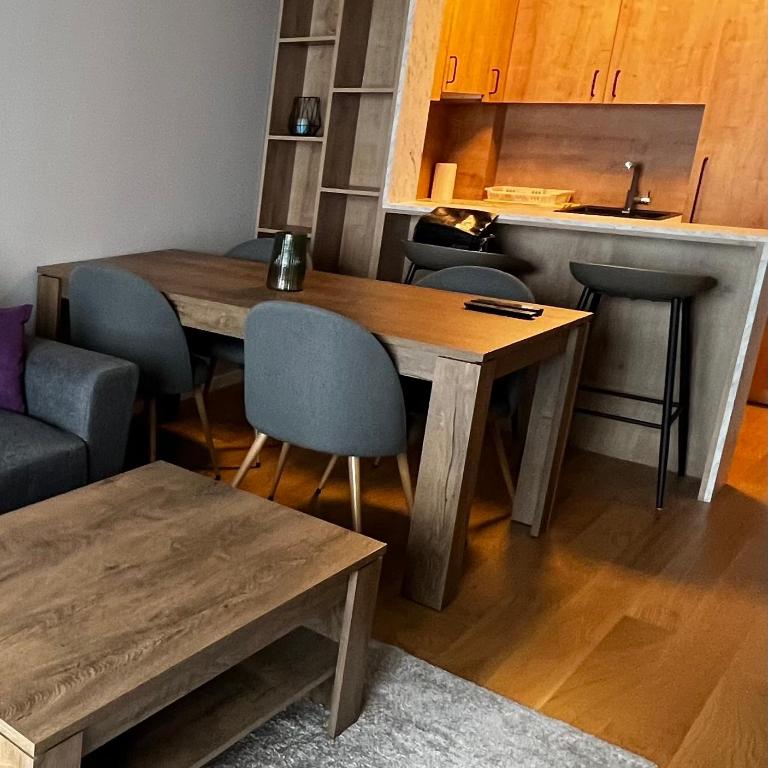 Winter Fairytale, ski in-ski out posebna ponuda! - One-Bedroom Apartment - 3