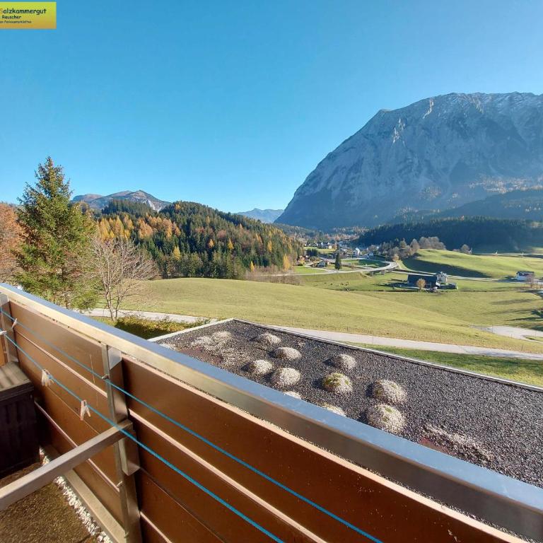 Apartment Grimmingblick - Apartment mit Blick auf die Berge - 9