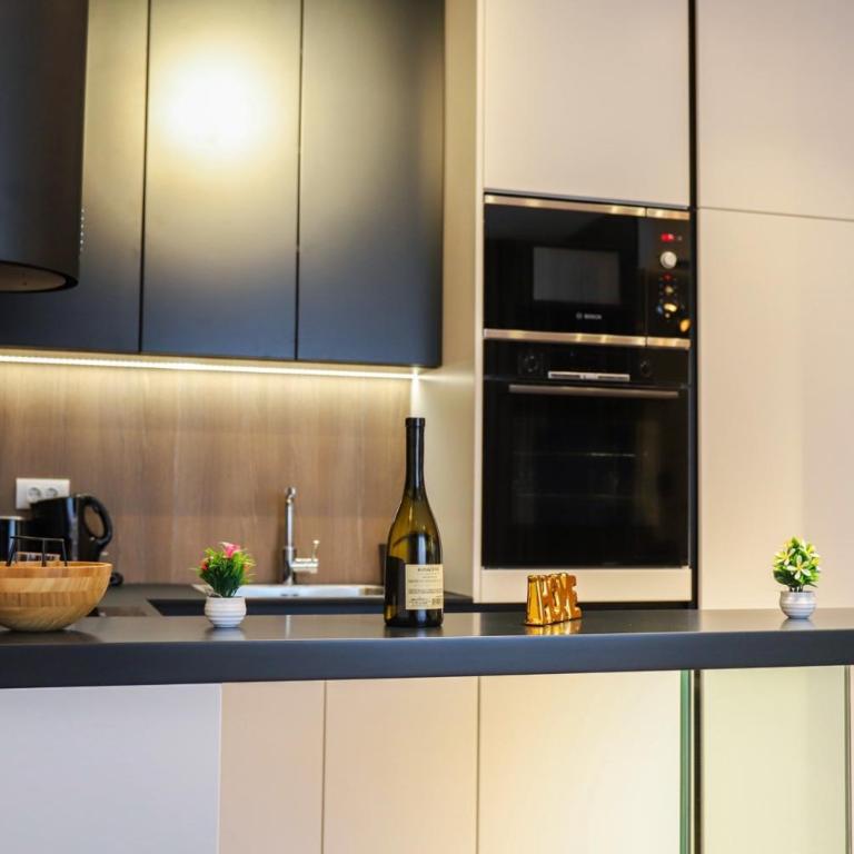 ModernApartmentsBL - Apartman sa 1 Spavaćom Sobom - 3