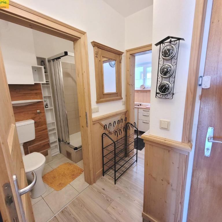 Apartment Almblick - Apartment mit Blick auf die Berge - 25