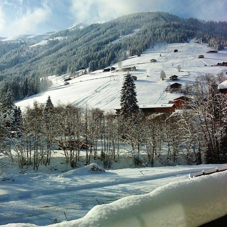Andreas Apartment im Landhaus Moser - Apartment mit 2 Schlafzimmern - 14