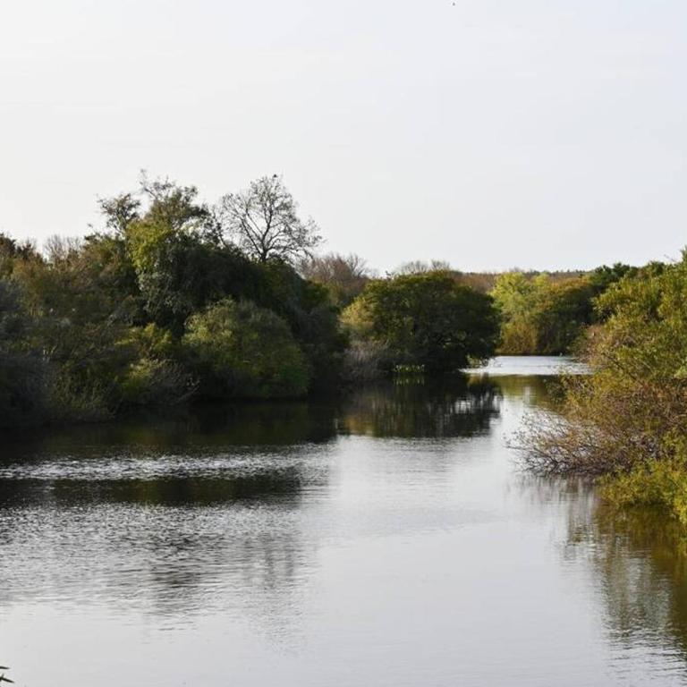 Casa de campo en estancia ganadera La Pilona - Casa de 3 dormitorios - 5