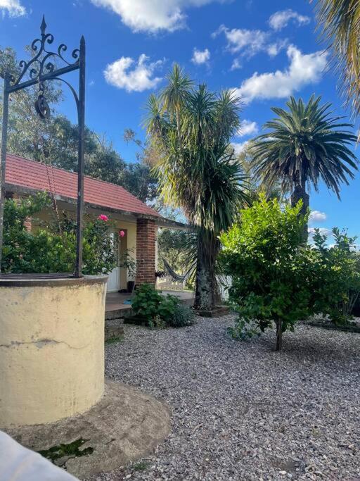 Casa de campo en estancia ganadera La Pilona - Casa de 3 dormitorios - 2