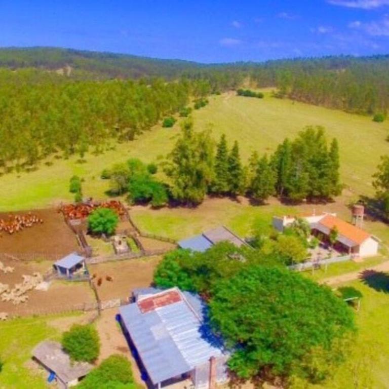 Casa de campo en estancia ganadera La Pilona - Casa de 3 dormitorios - 13