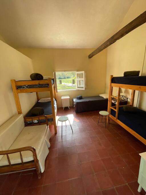 Casa de campo en estancia ganadera La Pilona - Casa de 3 dormitorios - 14