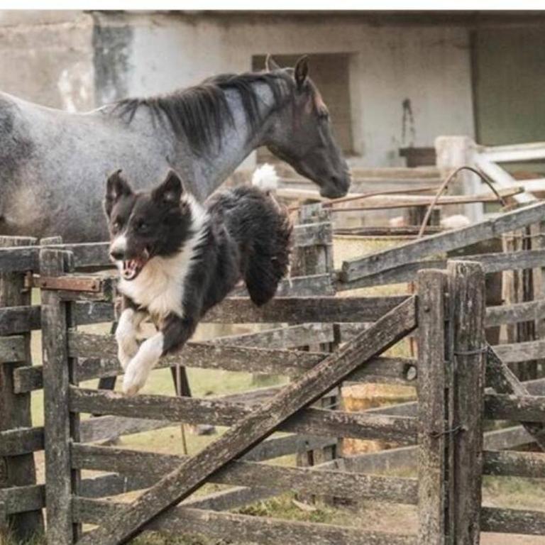Casa de campo en estancia ganadera La Pilona - Casa de 3 dormitorios - 16