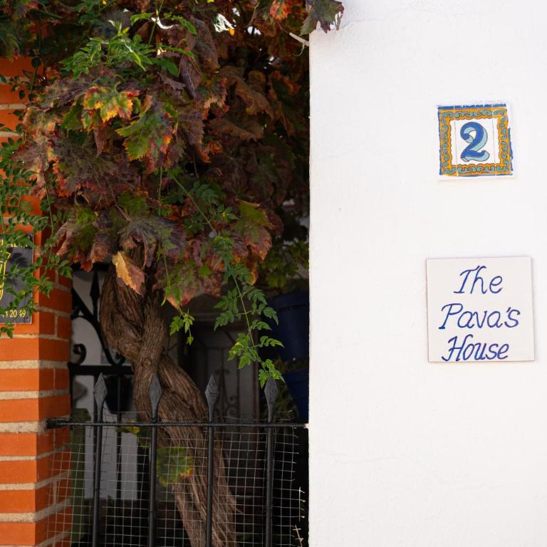 The Pava's House - Apartamento de 2 dormitorios - 6