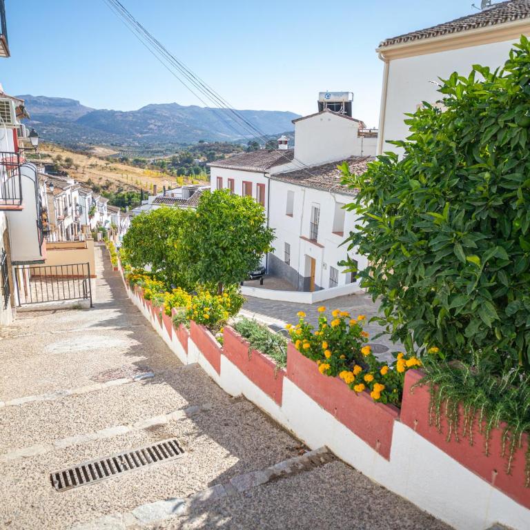 The Pava's House - Apartamento de 2 dormitorios - 25