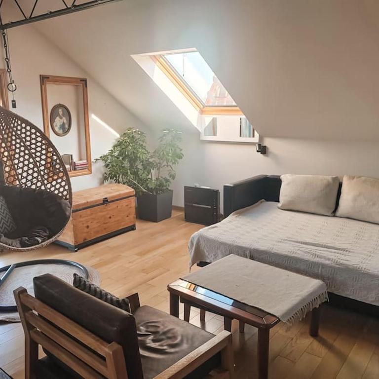 Voždovac studio with a view - Apartman sa 1 Spavaćom Sobom - 28