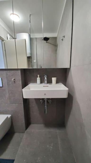 Sunny Valley studio Vračar - Apartman sa 1 Spavaćom Sobom - 7