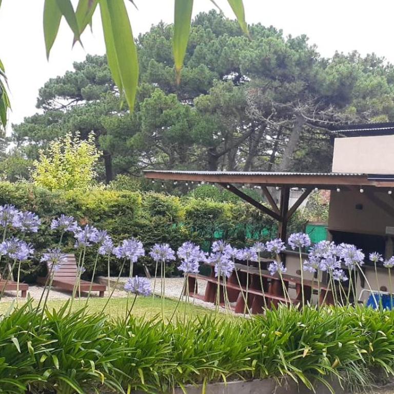 Vuelo de Gaviotas - Apartamento Estudio - 17