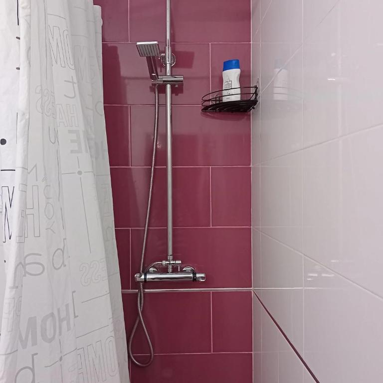 Centrico apartamento MR suite - Apartamento de 2 dormitorios - 52