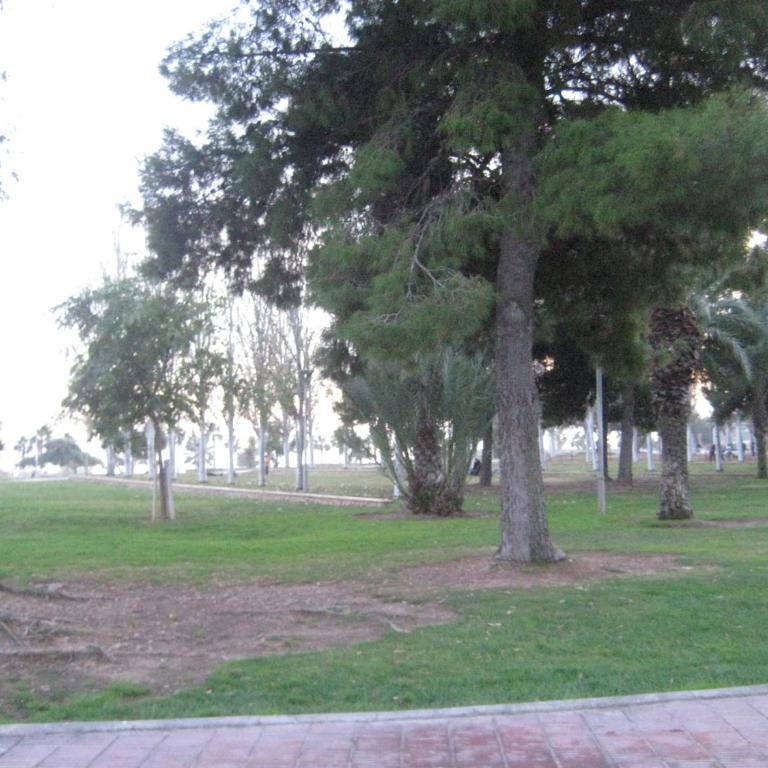 Apartamento Illa Mar - Apartamento - 2 niveles - 37