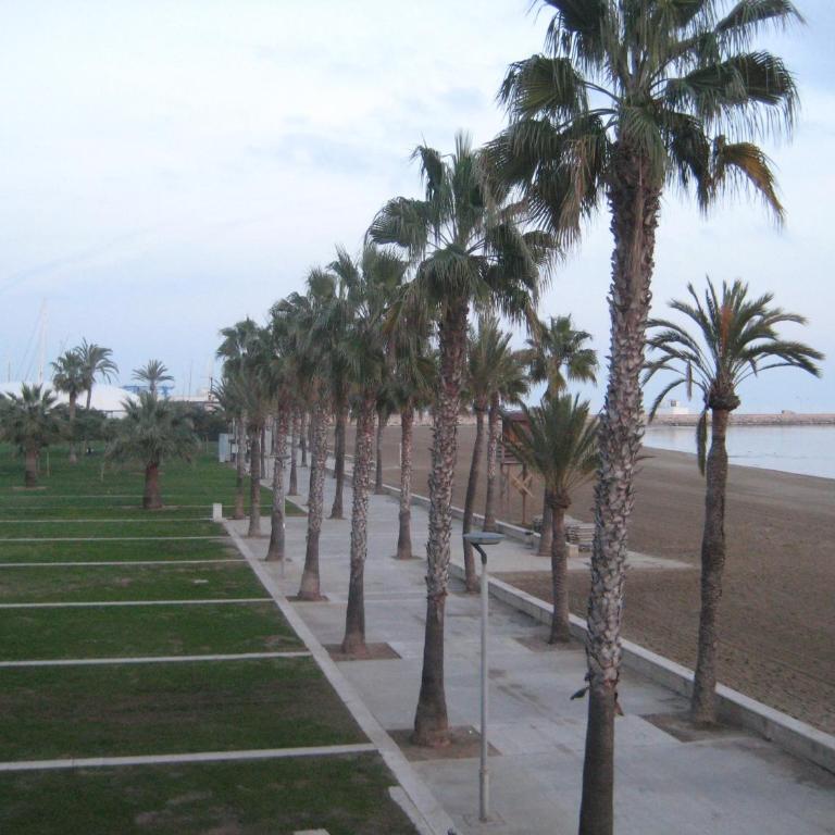 Apartamento Illa Mar - Apartamento - 2 niveles - 40