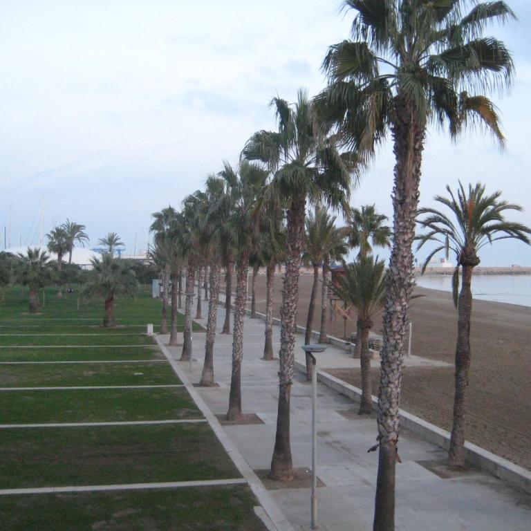 Apartamento Illa Mar - Apartamento - 2 niveles - 24