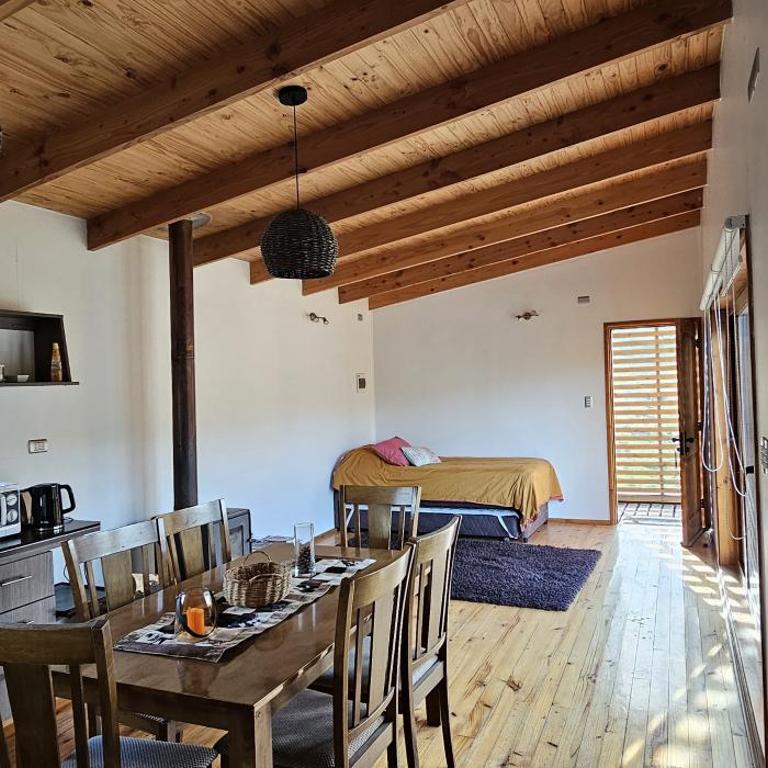 Turismo y Cabañas Dragon de La Patagonia - Apartamento de 1 dormitorio - 20