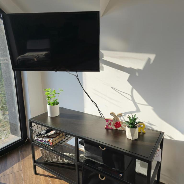 Apartman Devetka Diamond Hill - Apartman sa 1 Spavaćom Sobom - 10