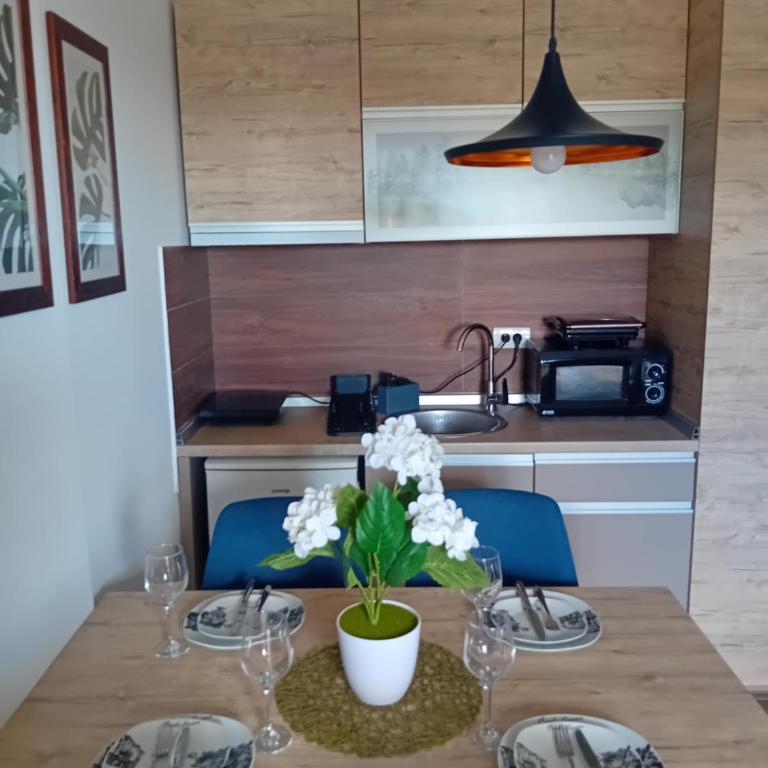 Studio Ristic Milmari L5 - Apartman sa 1 Spavaćom Sobom - 13