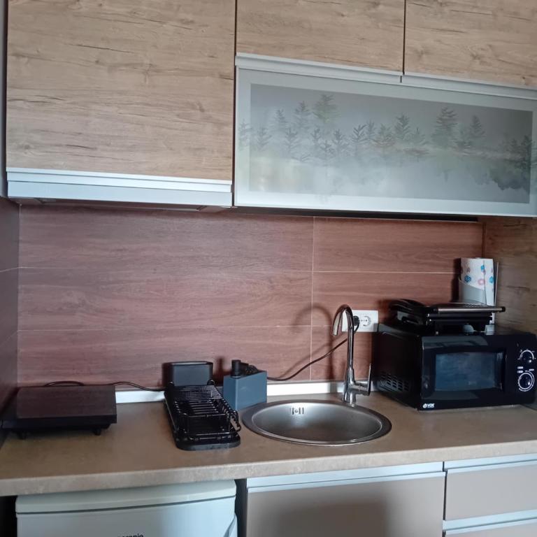 Studio Ristic Milmari L5 - Apartman sa 1 Spavaćom Sobom - 16