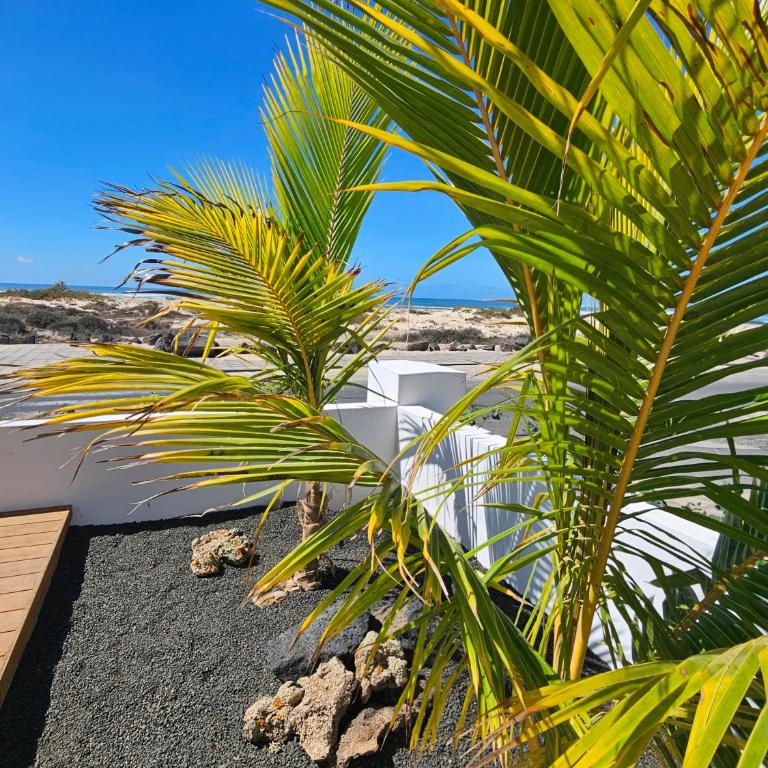 MAAR Suites Cotillo - Apartamento Deluxe de 2 dormitorios con vistas al mar - 18