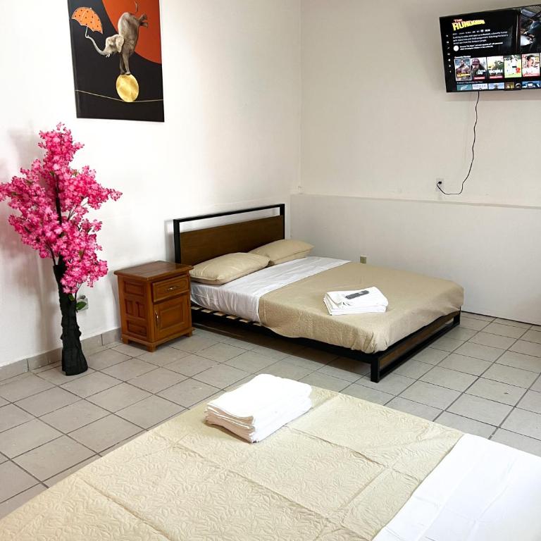 Hotel Cuauhtemoc - Deluxe Suite - 1