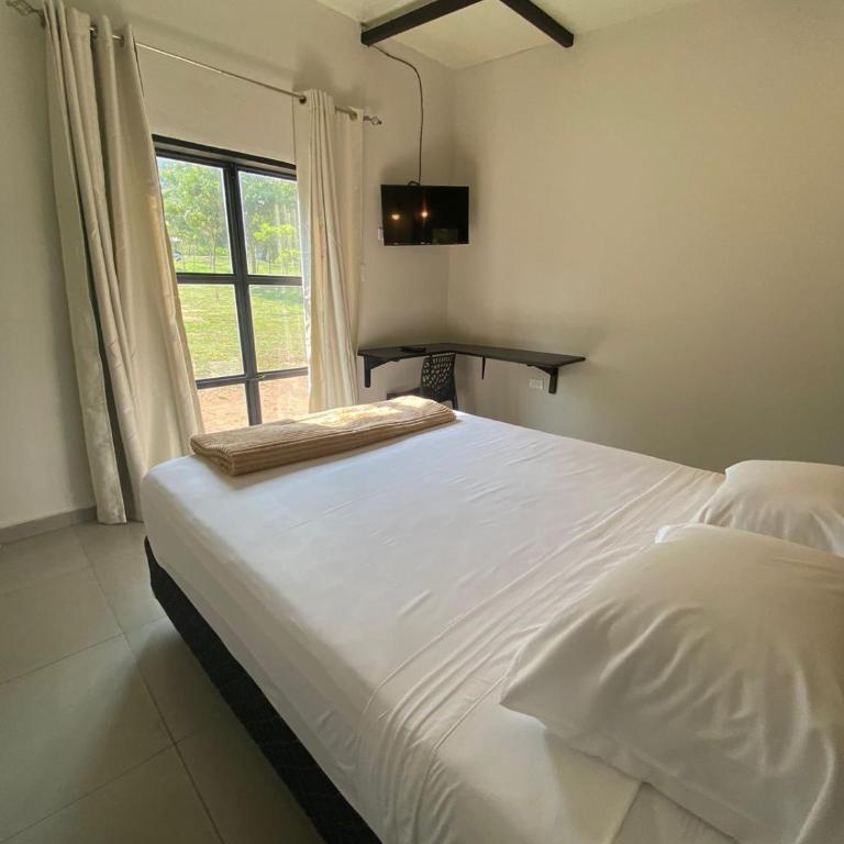 Posada San Miguel - Suite with Terrace - 7