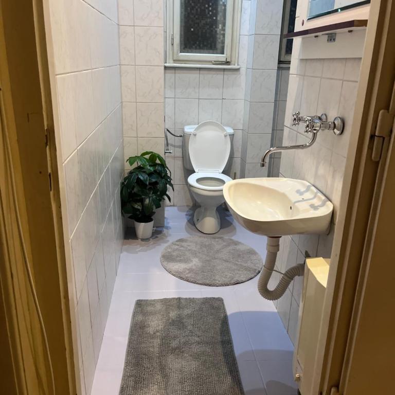 Terazije Square Lux Apartment - Apartman sa 3 Spavaće Sobe - 23