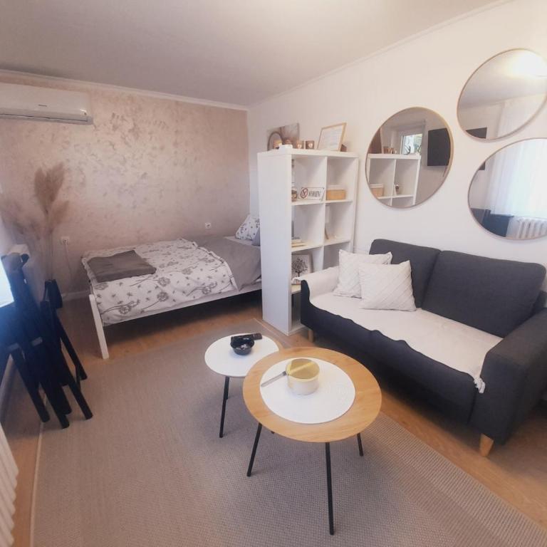 Studio Apartman - Apartman sa 1 Spavaćom Sobom - 9