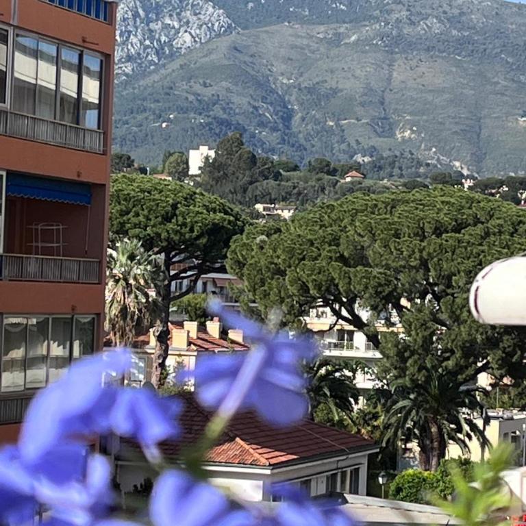 Ideal studio near Monaco - Appartement 1 Chambre - 16