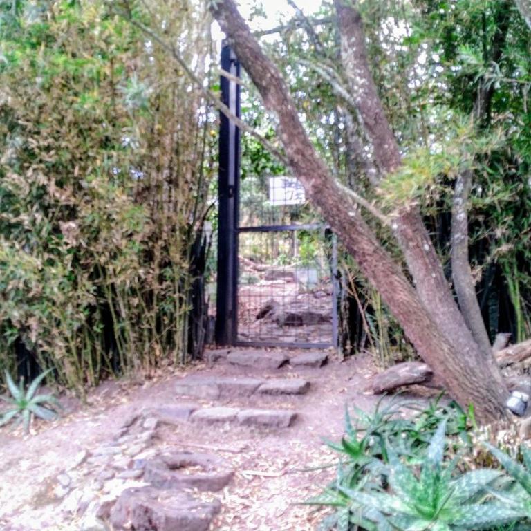 Casa del Aguacate Cumbaya - Tumbaco - Estudio Familiar - 29