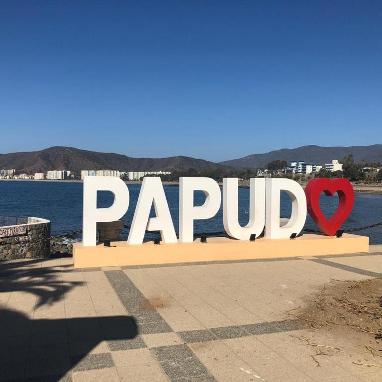 Departamento Papudo a pasos de la Playa - Two-Bedroom Apartment with Balcony and Sea View - 16